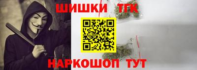 шишки Лесной