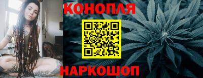 шишки Лесной