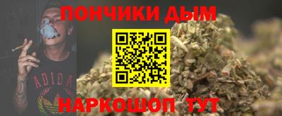 шишки Лесной