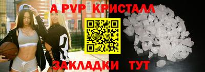 шишки Лесной