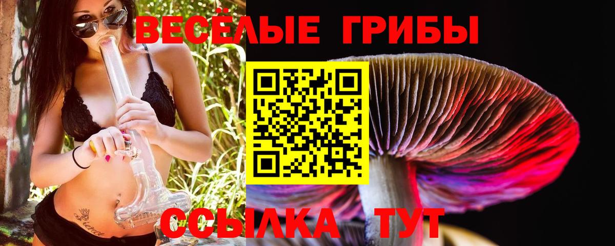 Галлюциногенные грибы прущие грибы  Вход с VPN  Кузнецк 